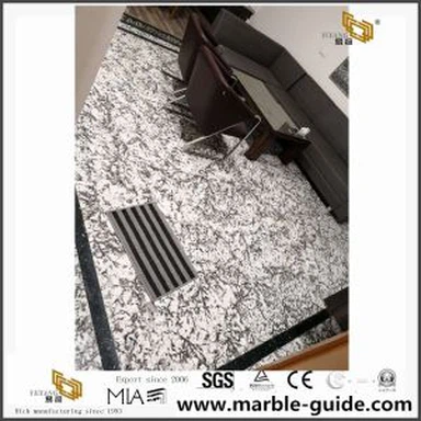 اندرونی فرش کے لئے بیانکو اینٹیکو گرینائٹ